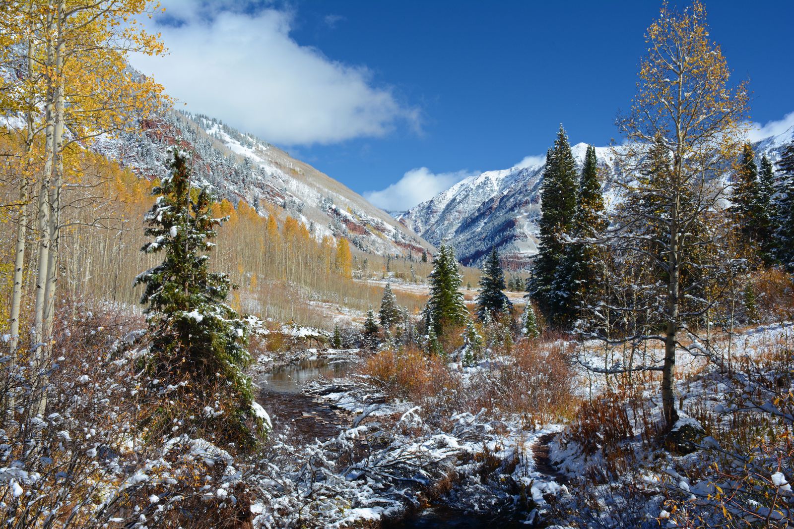 Aspen — view 3