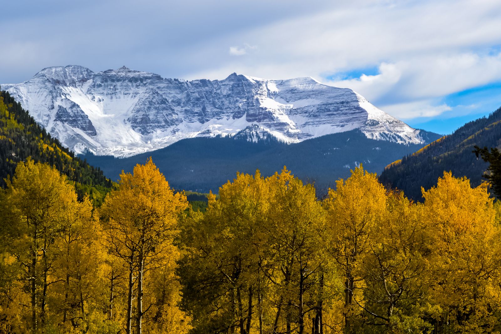 Aspen — view 4