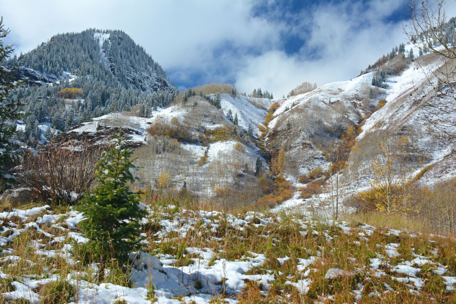 Aspen — view 7
