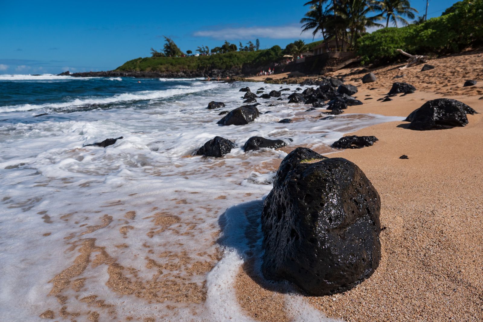Maui — view 4