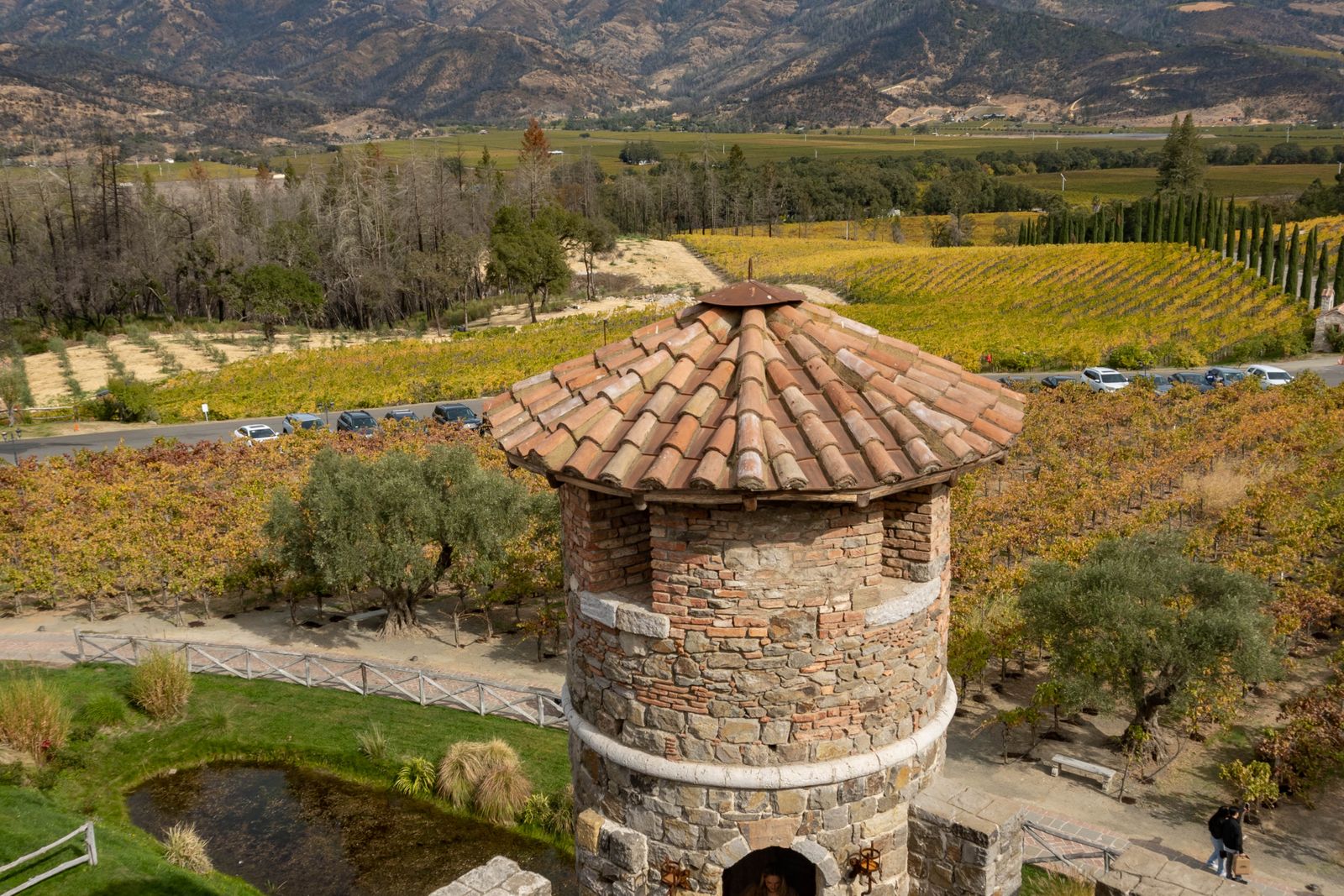 Napa Valley — view 3