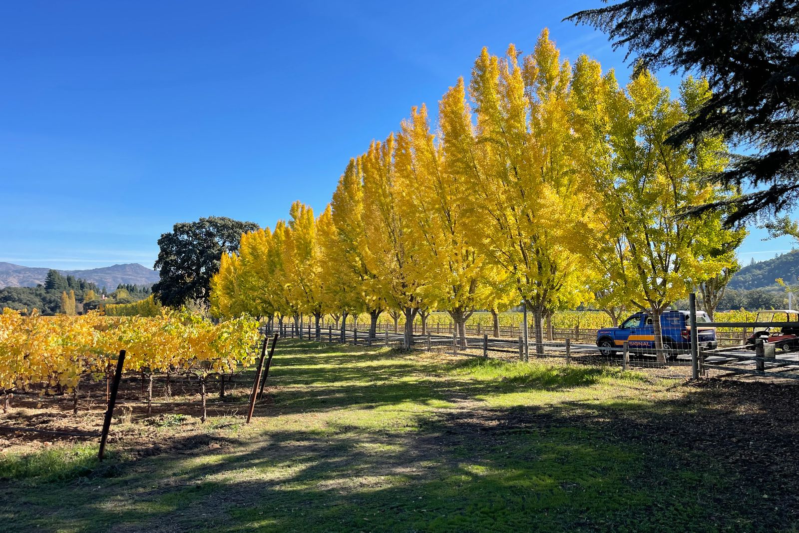 Napa Valley — view 4