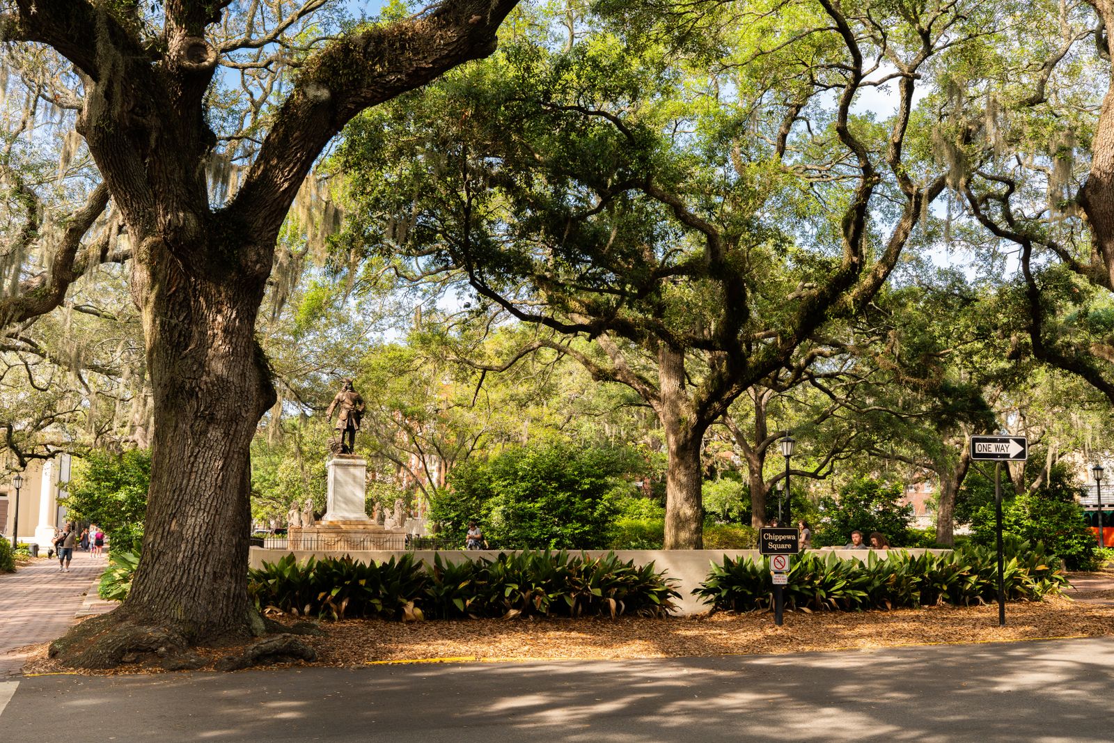 Savannah — view 4