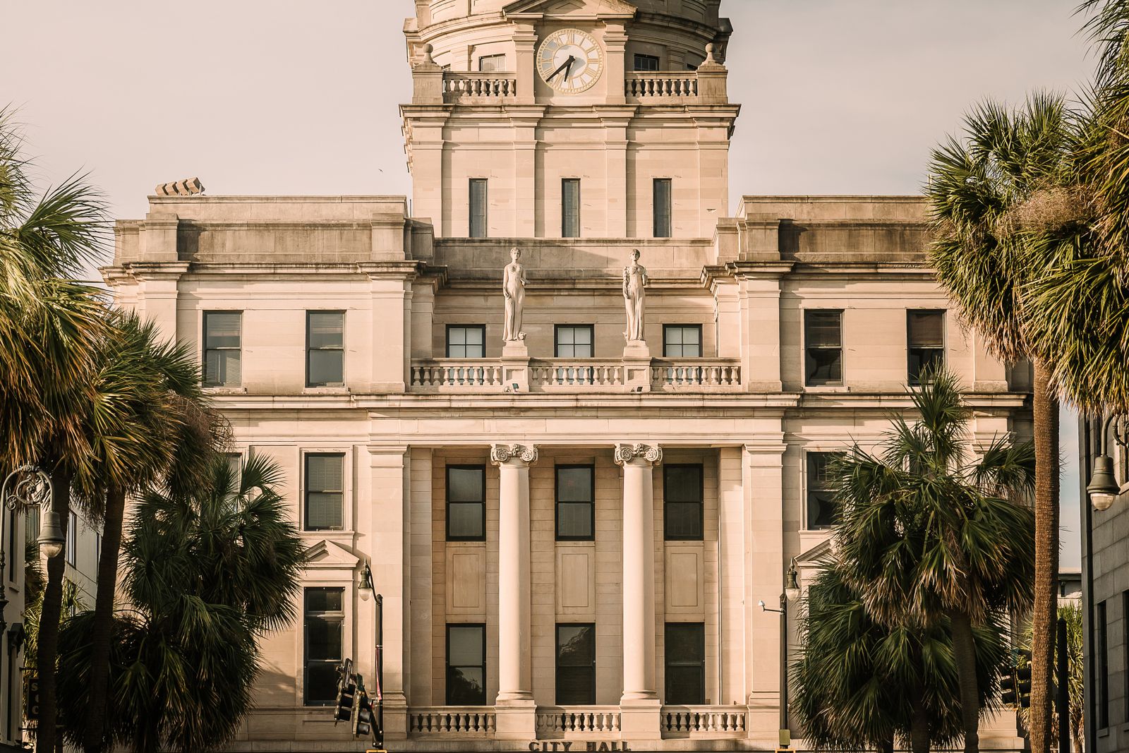 Savannah — view 6