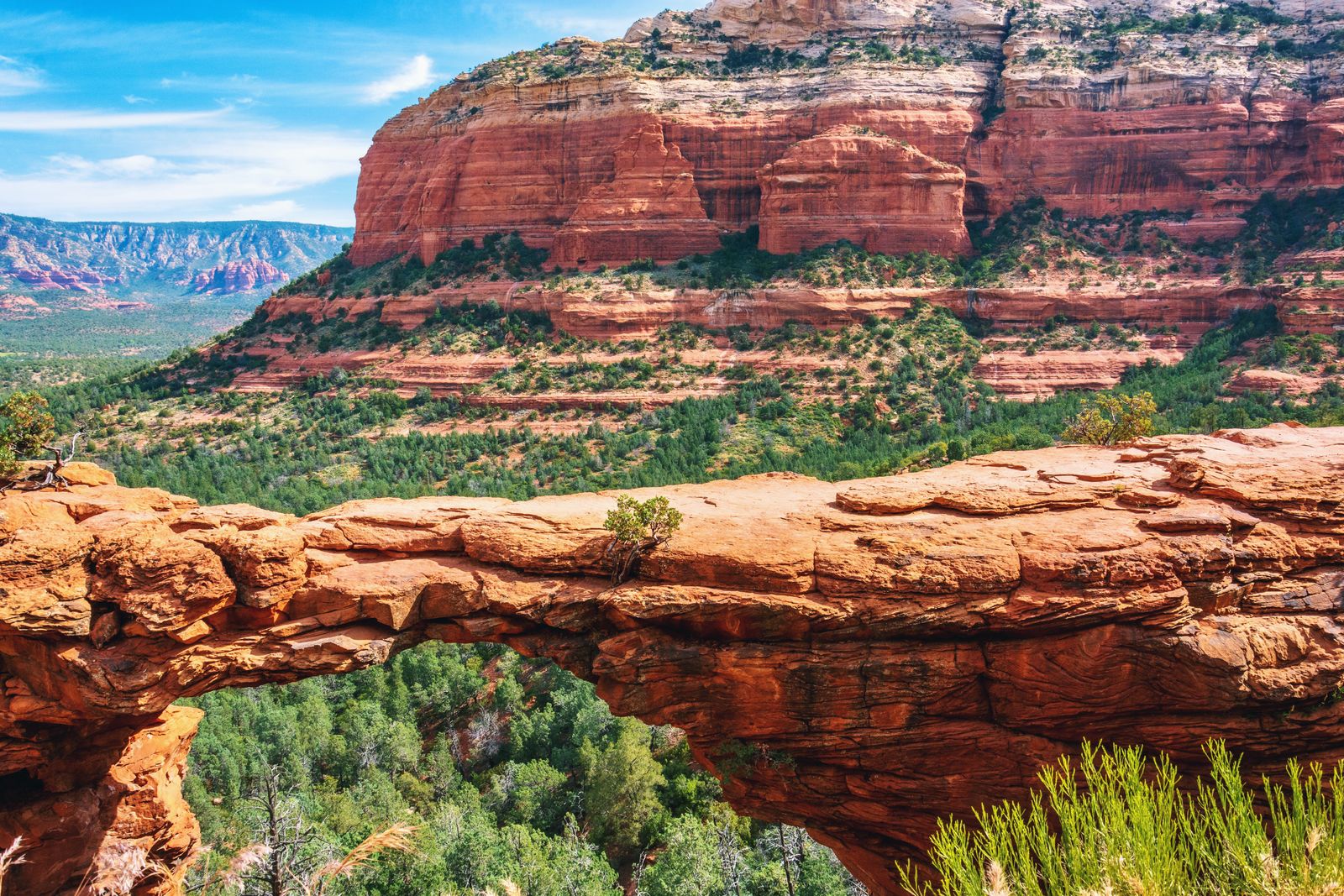 Sedona — view 6
